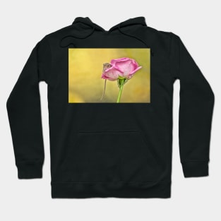 Pretty as a picture Hoodie